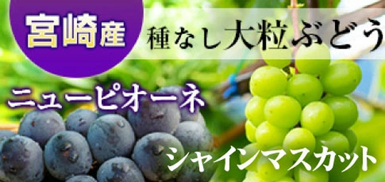 ぶどう