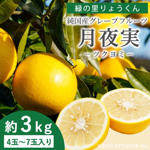 【4月上旬以降順次発送】純国産 グレープフルーツ 月夜実 ツクヨミ 約3kg(4~7玉) 宮崎県日南市産 緑の里りょうくん