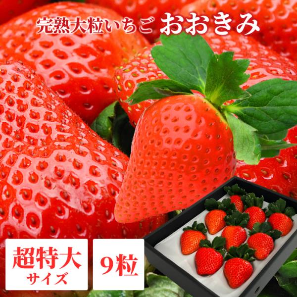 【2026年1月下旬以降発送】宮崎県産 大粒いちご【 おおきみ 超特大サイズ 9粒 1パック 】380g以上(1粒あたり40g以上) 日付指定不可 いちご イチゴ 苺